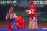 秦腔花亭相会