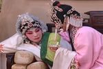 白玉楼 片段 一碗药喝下腹顿觉身暖