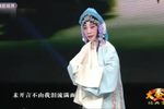 四进士柳林 片段