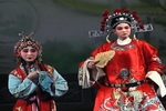 秦腔花亭相会 选段 片段