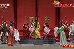 狸猫换太子
