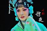 川剧柳荫记访友
