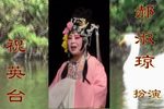 川剧柳荫记 全剧
