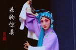 川剧杀狗惊妻