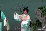 西秦戏狸猫换太子 抱妆盒