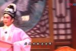 白字戏桂枝告状 下