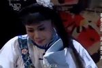 白字戏蝴蝶梦劈棺 精选片段