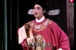 杨柳恨