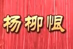 莆仙戏杨柳恨 全剧