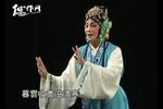 白兔记 全剧