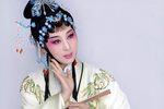 双蝶扇 片段