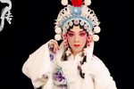 潘杨讼2