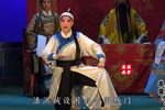 潘杨讼 片段