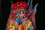 保定老调杨金花夺印 音频版