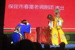 保定老调潘杨讼 片段