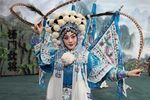 京剧杨门女将 全集