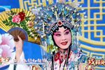 京剧贵妃醉酒 片段