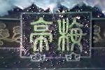 潮剧梅亭雪见故人悲喜交并  片段