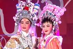 潮剧三请樊梨花马上姻缘 片段