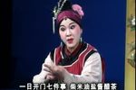 潮剧铁弓缘