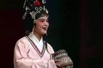 潮剧皇亲国戚  片段