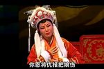 潮剧梅花公主闯宫 片段