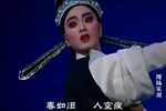 沈园绝唱 片段