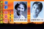 金菊花 片段