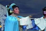 潮剧背解红罗 选段太子认母 片段