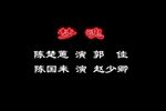 潮剧赵少卿梦魂 选段