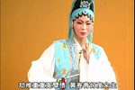 潮剧金龙银凤