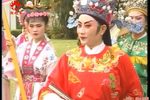 孟丽君 下