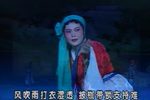 潮剧潇湘秋雨荆棘满途步履难  片段