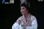 潮剧嫦娥奔月 片段