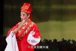 潮剧苏六娘杨子良讨亲  片段
