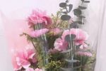 尊声嫂娘息雷霆 片段