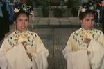 真假金牡丹