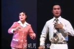 潮剧金龙银凤 片段