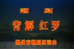 潮剧背解红罗 上下集