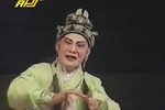 潮剧薛蛟认像  片段