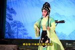 宋王告状 片段