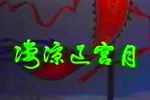 凄凉辽宫月