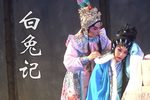 白兔记