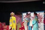 狸猫换太子 02集 片段