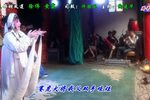 蝴蝶杯 片段