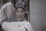 赣剧还魂记