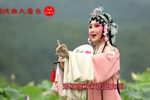 姹紫嫣红 片段