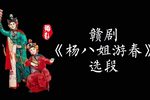 杨八姐游春 片段
