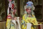 打金枝