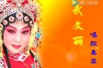 晋剧田桂兰高徒武文丽专辑